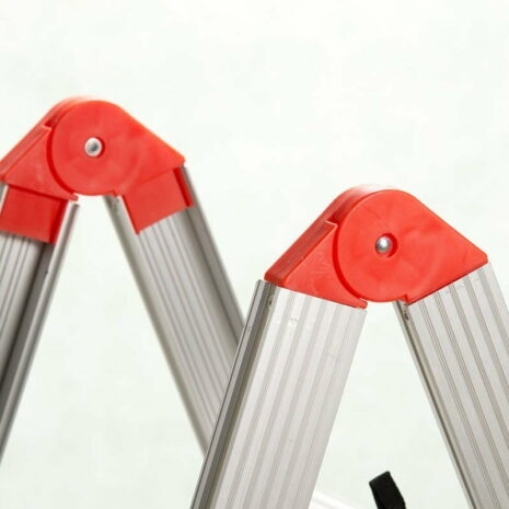 1324313903.jpg 1324313903