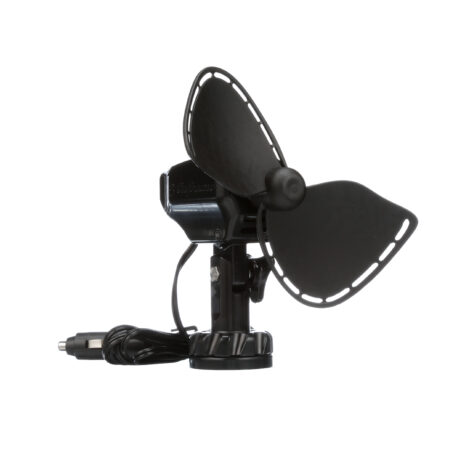 3107337287.jpg 3107337287