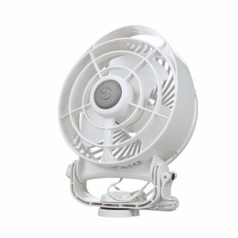 3107370354.jpg 3107370354