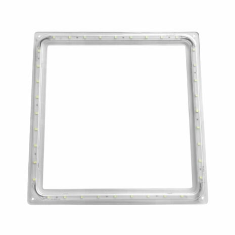 3162542203.jpg 3162542203