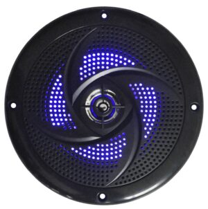 A Waterproof Low-Profile Speaker (Pair) with Black LED.