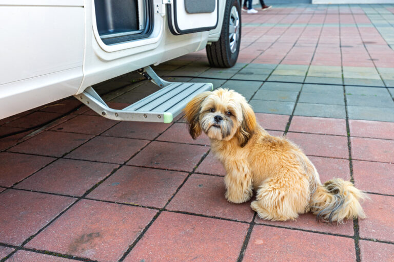 10 Essential Features To Look For In Caravan Steps